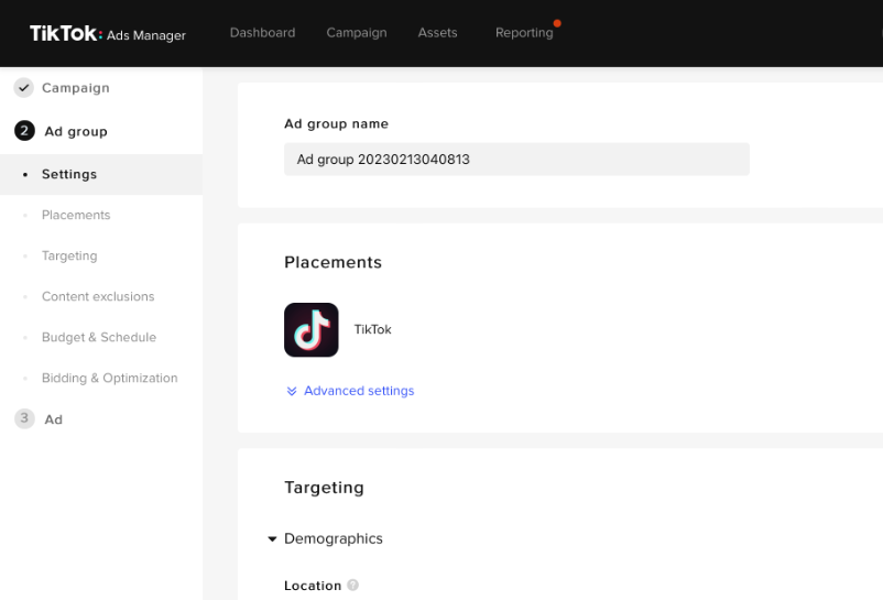 adgroup-tiktok-ads